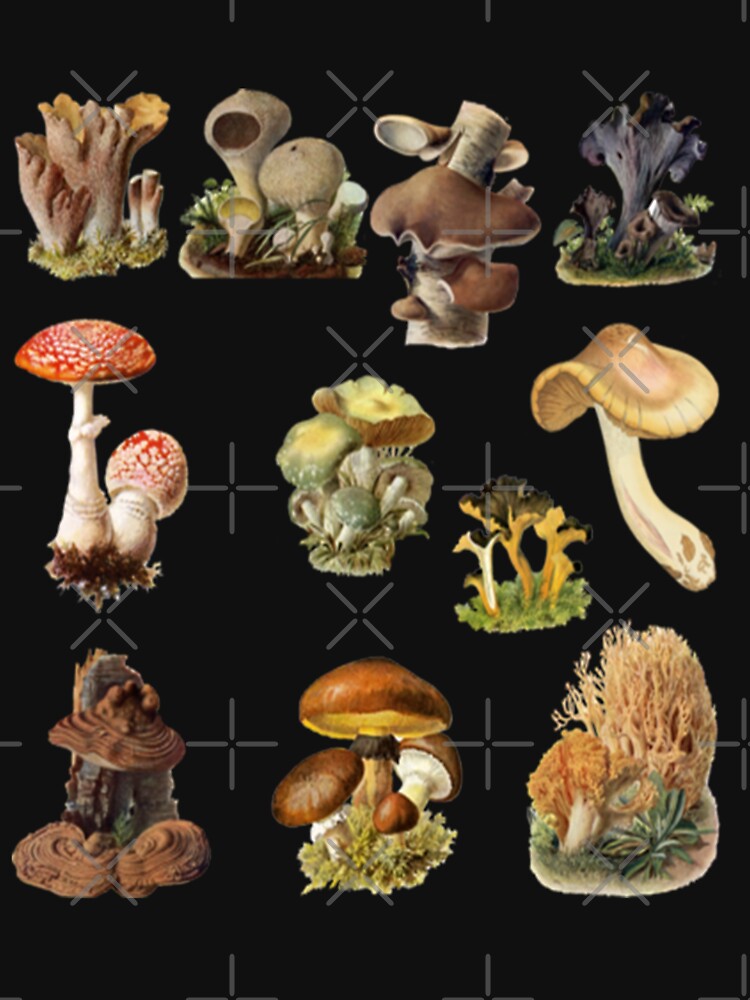 Mushroom Design Best Gift for Mushroom Lover by New Art