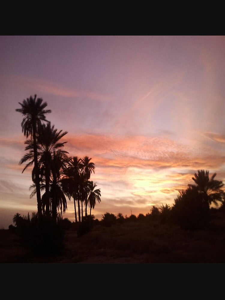 Awesome view of sunrise and palm trees by faridman