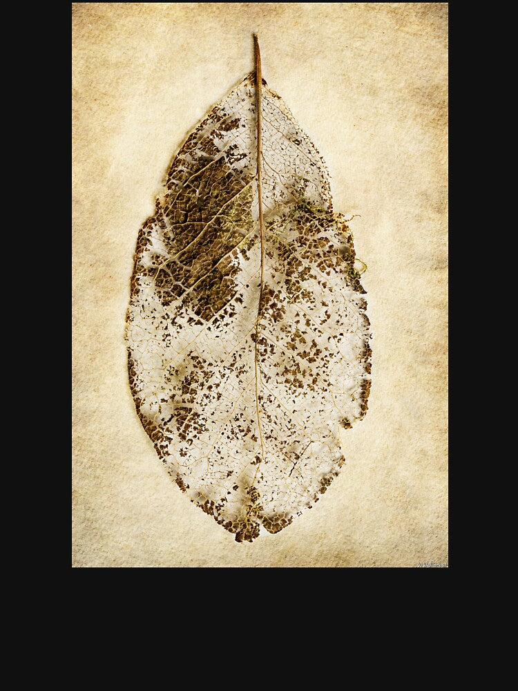 Decayed Leaf 01 by Weston  Westmoreland