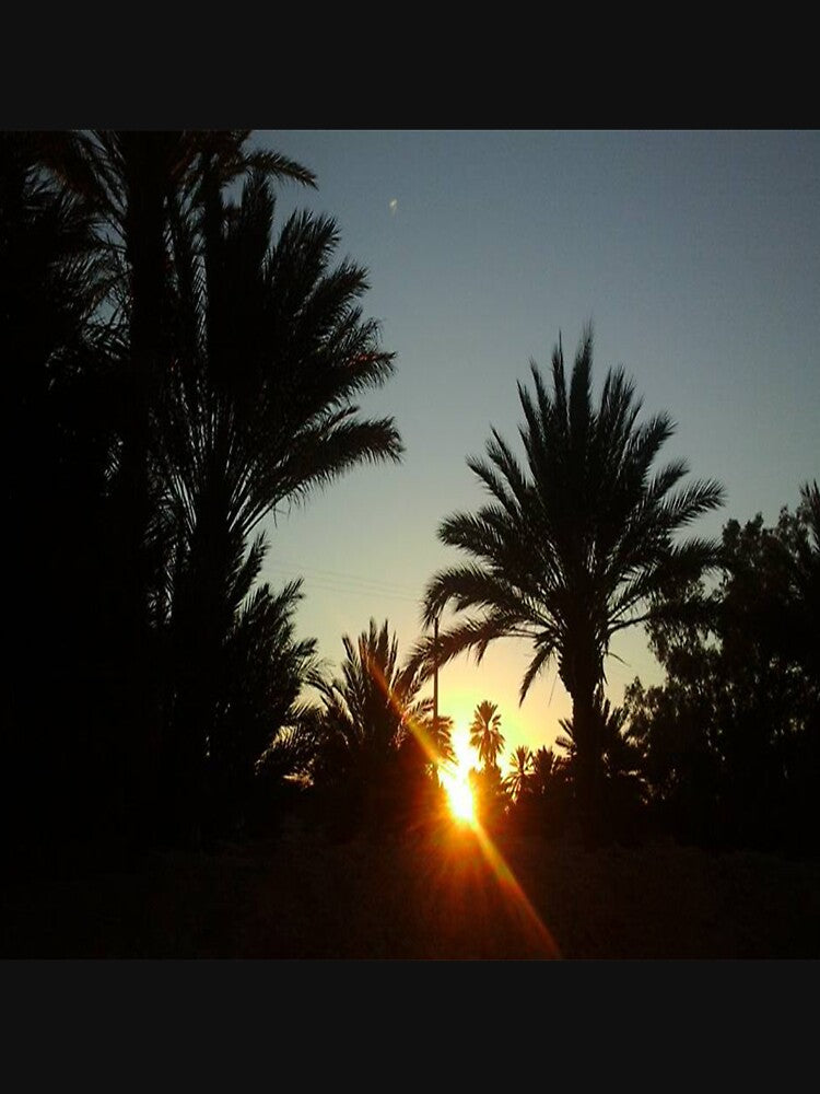Awesome view on sunset and palm trees by faridman
