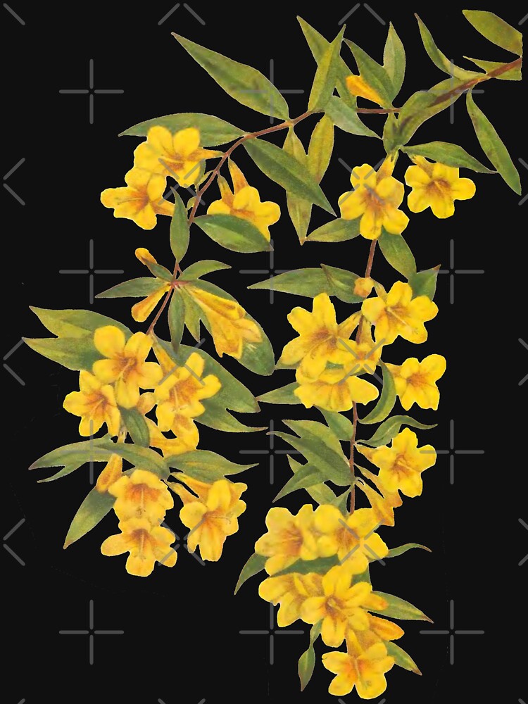 Yellow Wildflowers Botanical Print by Veriepear