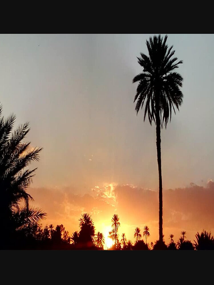 A beautiful red sunset with palm and red sky by faridman
