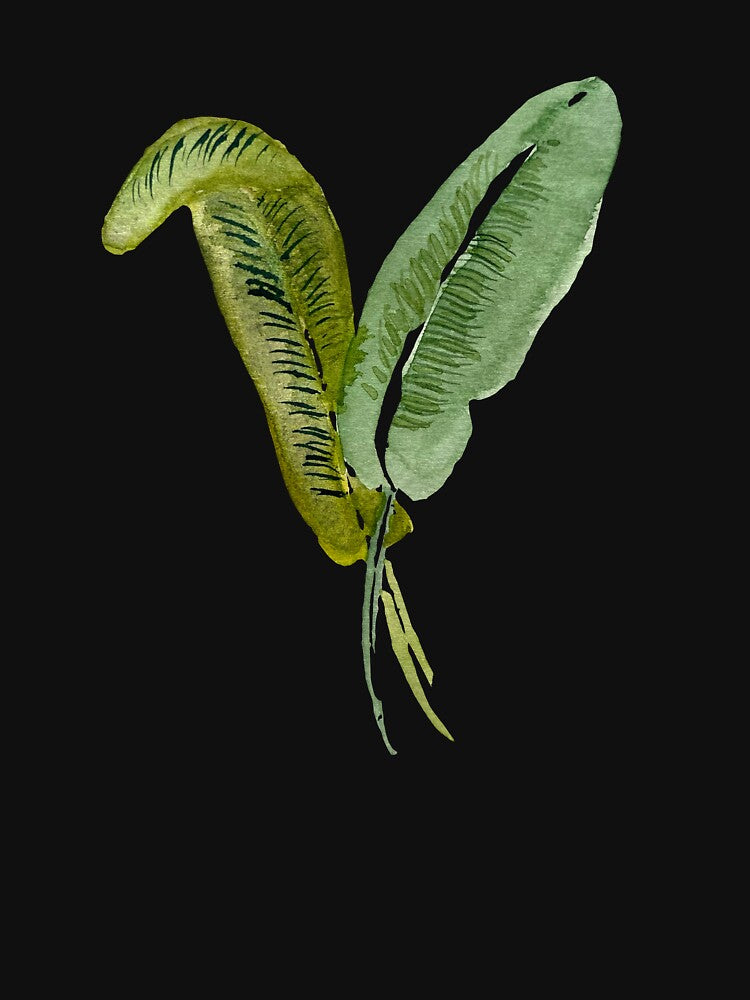 palm leaf watercolor illustration on black background by Yana Mustafina | Boho Soulful Designs