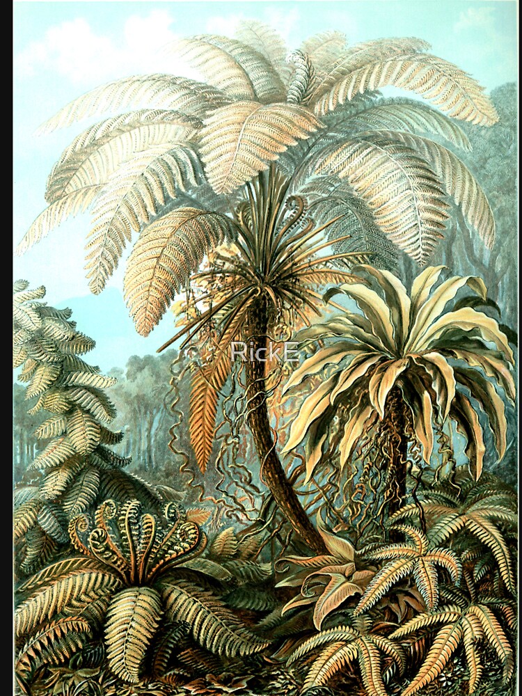 Palm Tree Vintage Botanical Illustration Tropical Nature Lovers by RickE