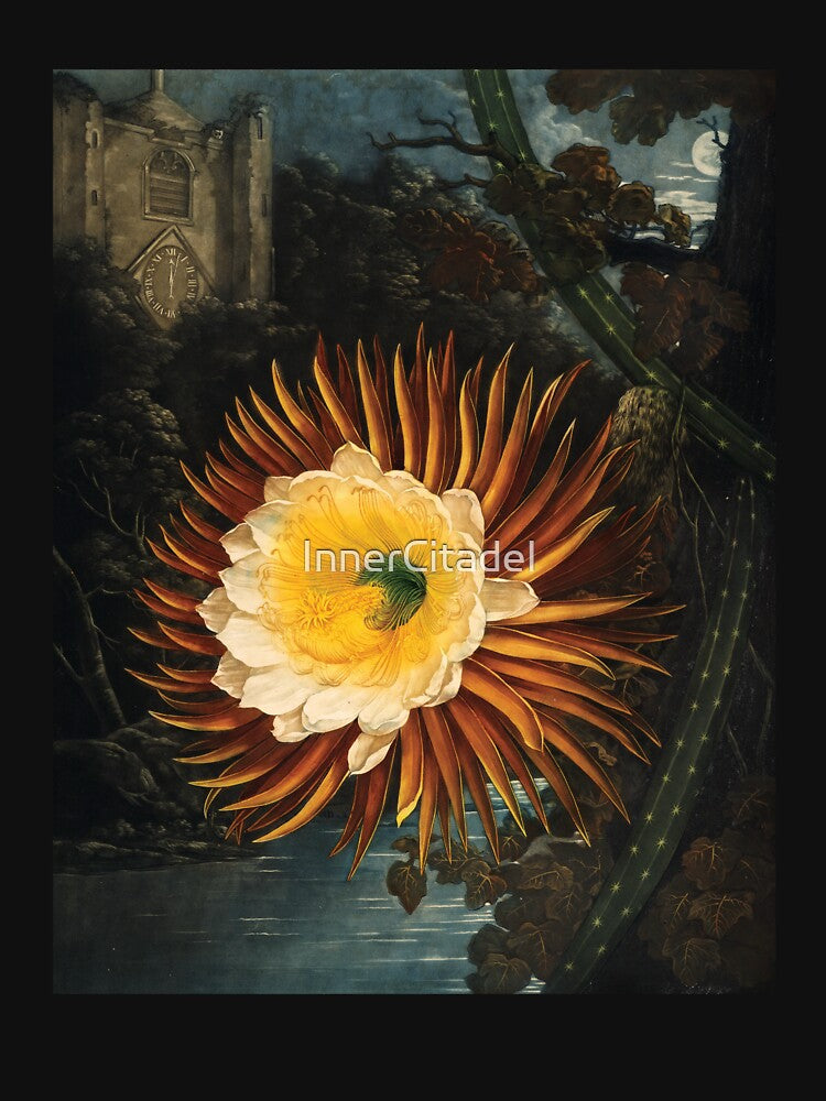 The Night-Flowering Cactus Botanical Painting by InnerCitadel