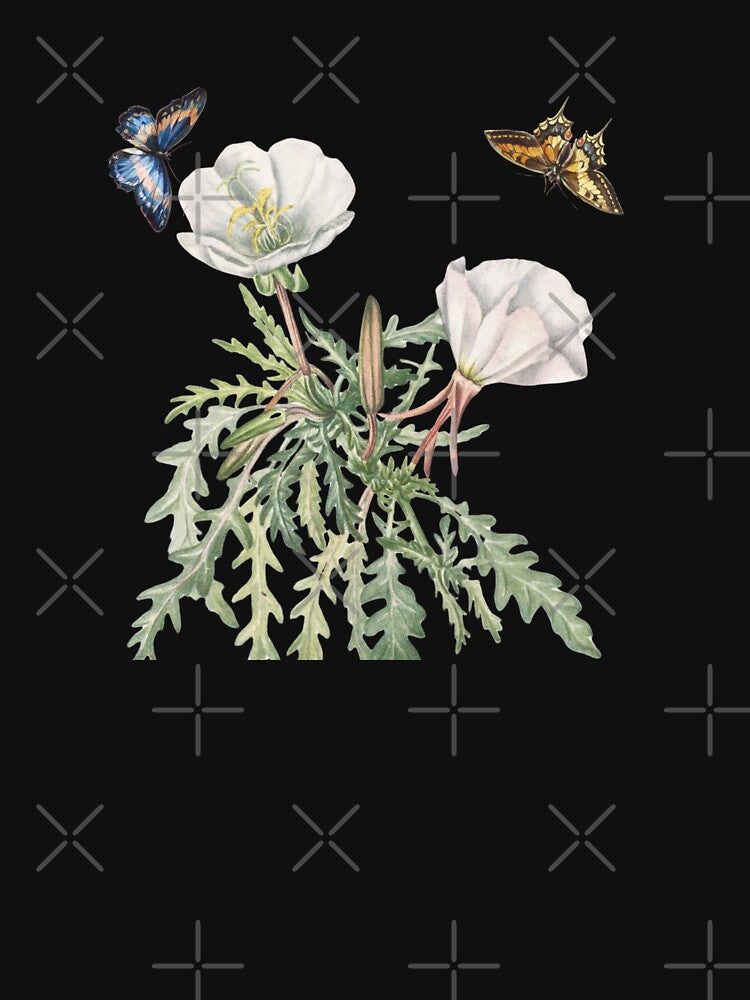 California Poppy Botanical Illustration with Butterflies – Vintage Wildflower Nature Art Description by KittenAndCo