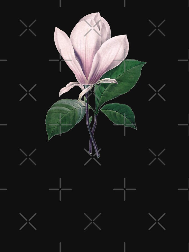 Magnolia  soulangeana | The Saucer Magnolia | Pierre Joseph Redouté | Vintage Botanical Art Print by LaMadeleine
