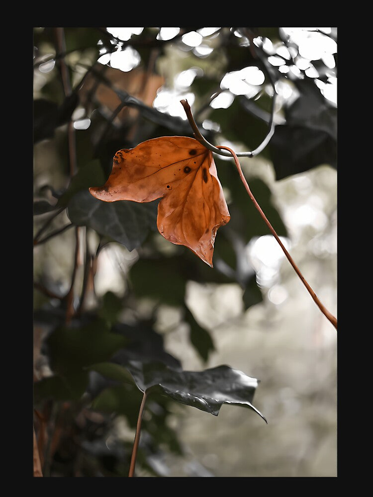 Amber Leaf by abubjxtn65