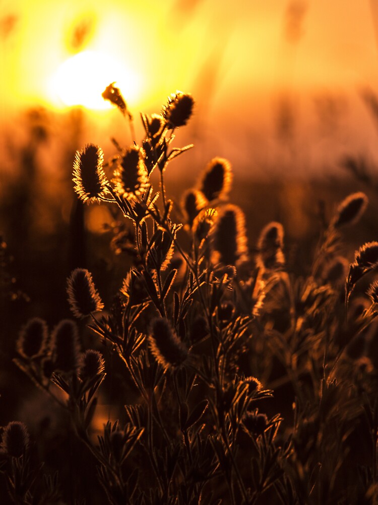 AMAZING DISTANT SUNSET by MJ96-PRO
