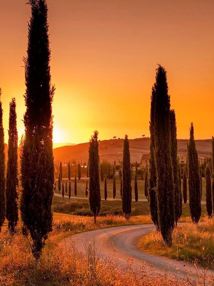 BEAUTIFUL SUNSET IN TUSCANY, ITALY by MJ96-PRO