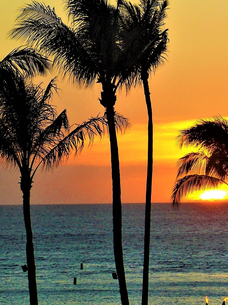 BEAUTIFUL SUNSET IN A TROPICAL BEACH by MJ96-PRO