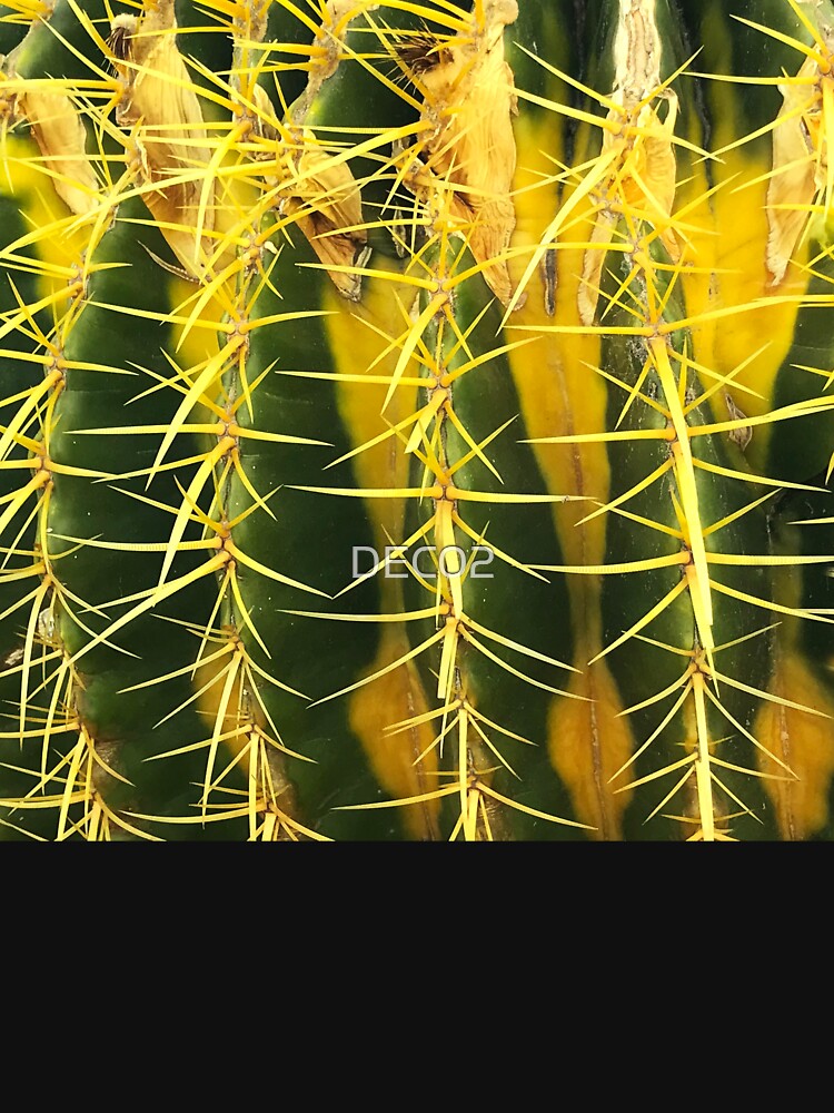 Elegant Barrel Cactus Luxurious Close-Up Art Photo by DEC02