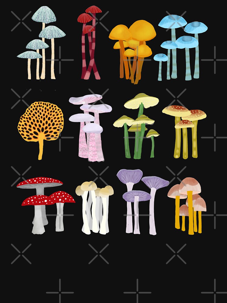 Colorful Mushrooms by Amy Hadden