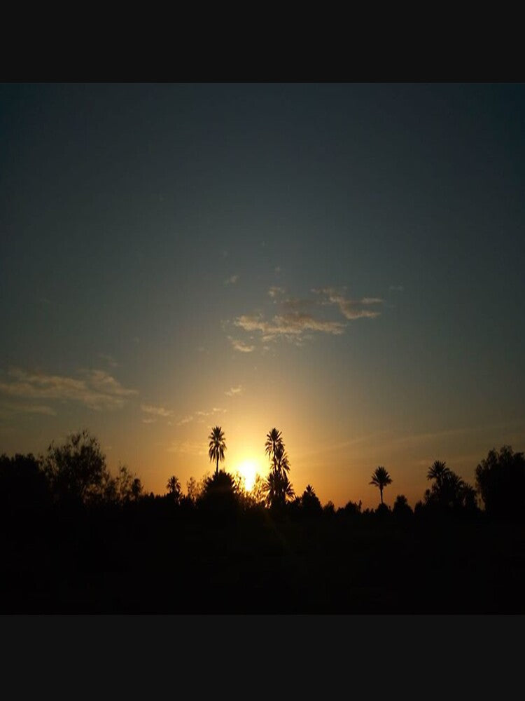 Beautiful sunrise with palm trees by faridman
