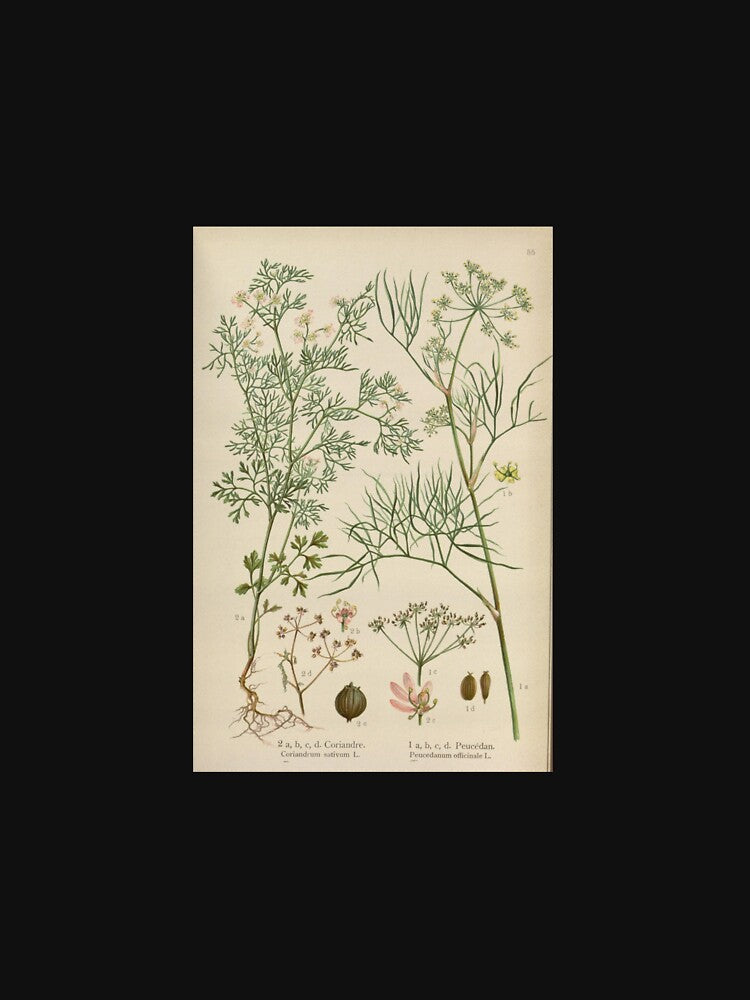 vintage botanical by Txxmstore