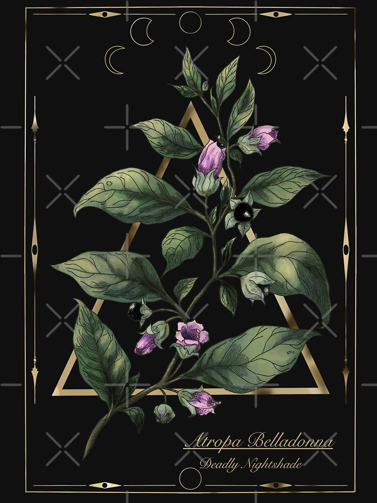 Belladonna. Deadly nightshade. Magical herbs by Sitenkovamary