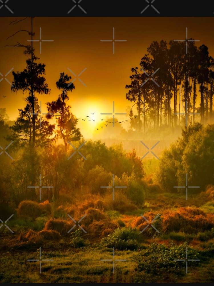 Golden Sunset Wildlife Savannah by Alladin7