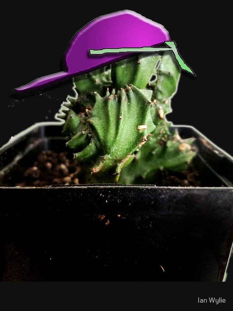 Cool Cactus by Ian Wylie