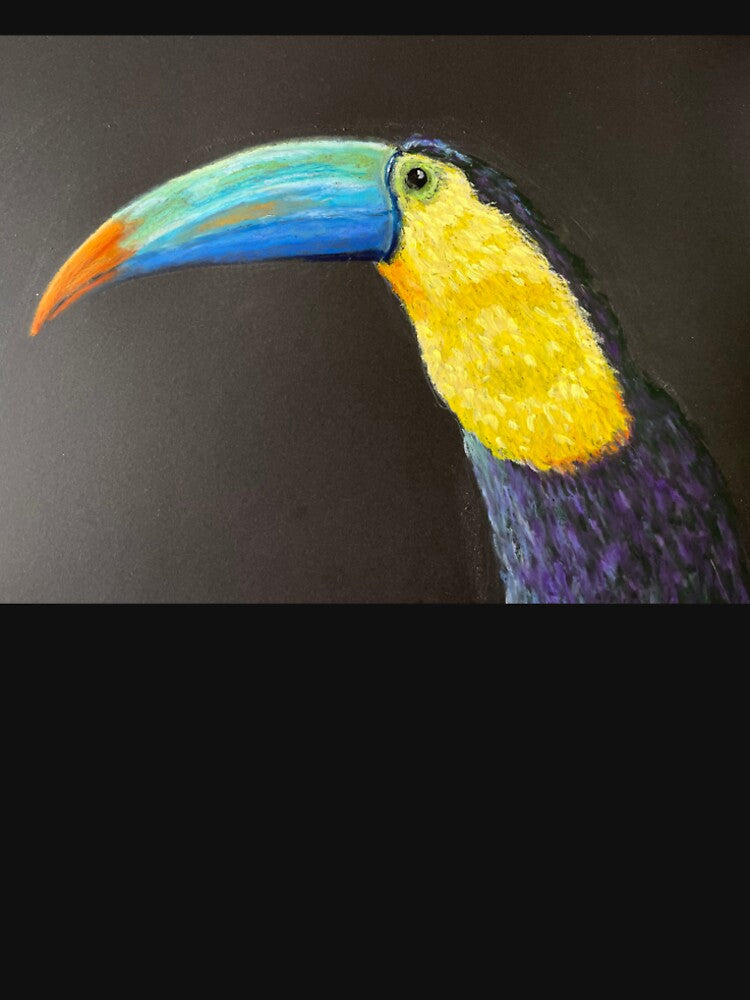 Toucan a study in oil pastels by DoodlesArt62