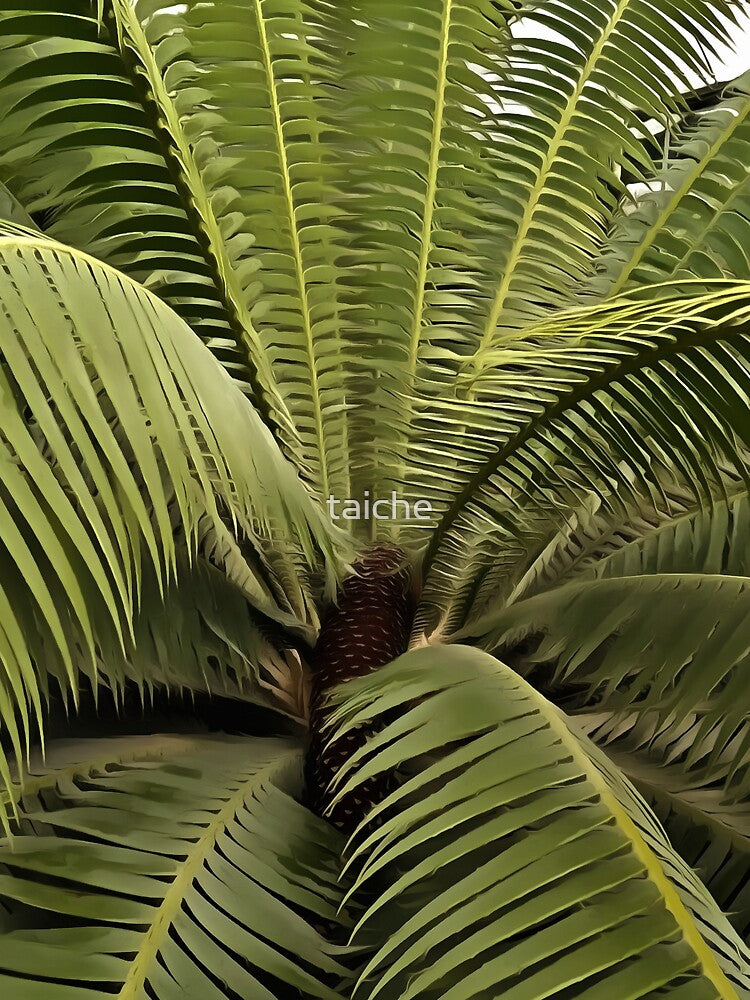 Tropical Palm Botanical Art Dioon Spinulosum by taiche
