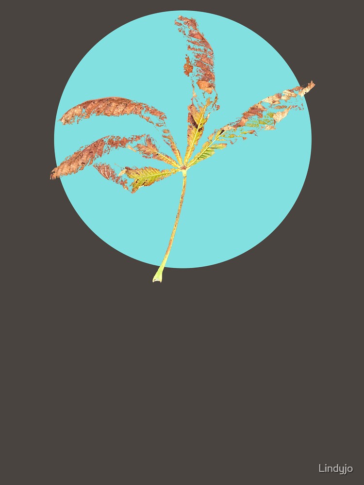 Disintegrating Horse Chestnut Leaf by Lindyjo