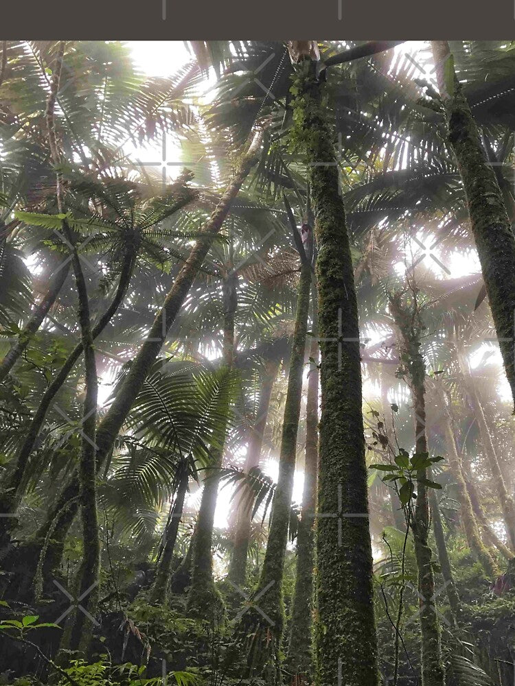 Tropical Jungle Rainforest by SYNTASTIC