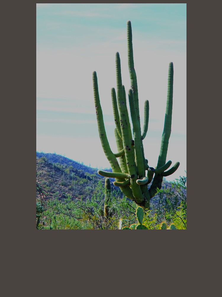 Organ Pipe Cactus by "sensesillusion" - Nature Images Art Prints