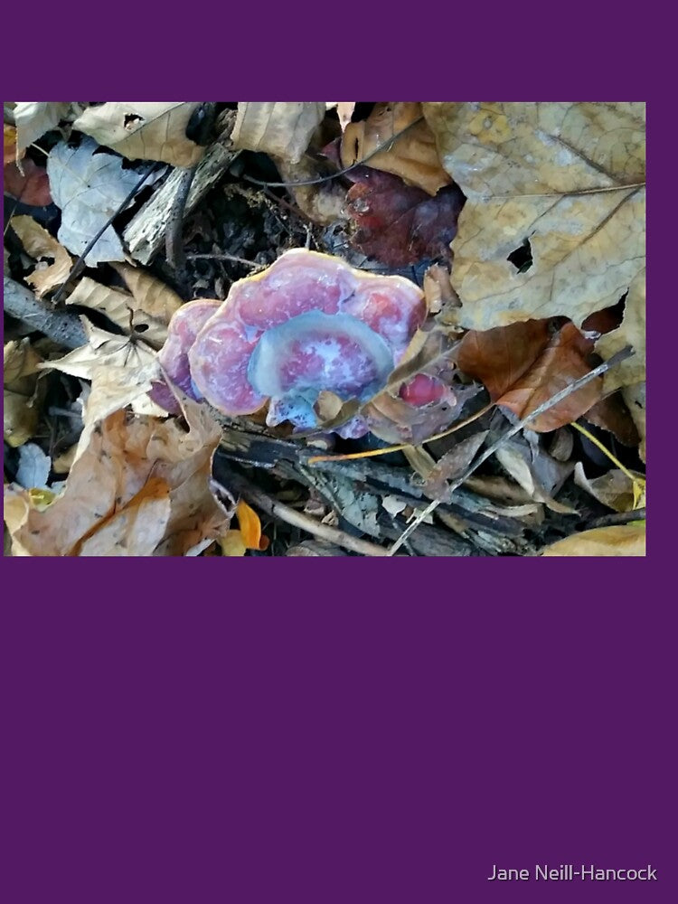 Unusual Pink and Lavendar Mushroom by Jane Neill-Hancock