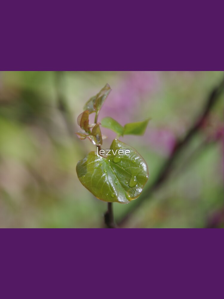 Raindrops by lezvee