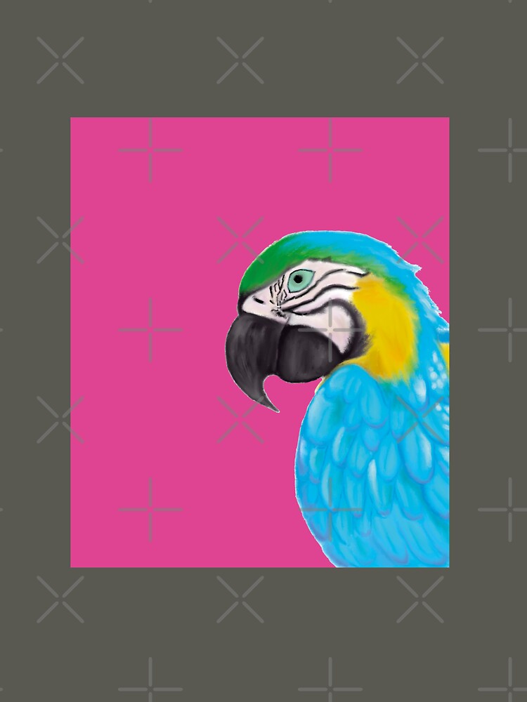 Blue and Gold Macaw illustration by lucialittleshop