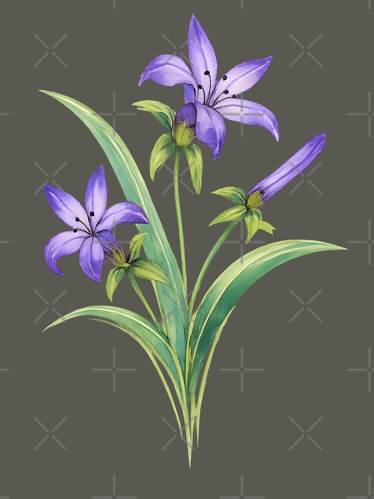 Purple Wildflower Botanical Illustration by blankTeeShirt