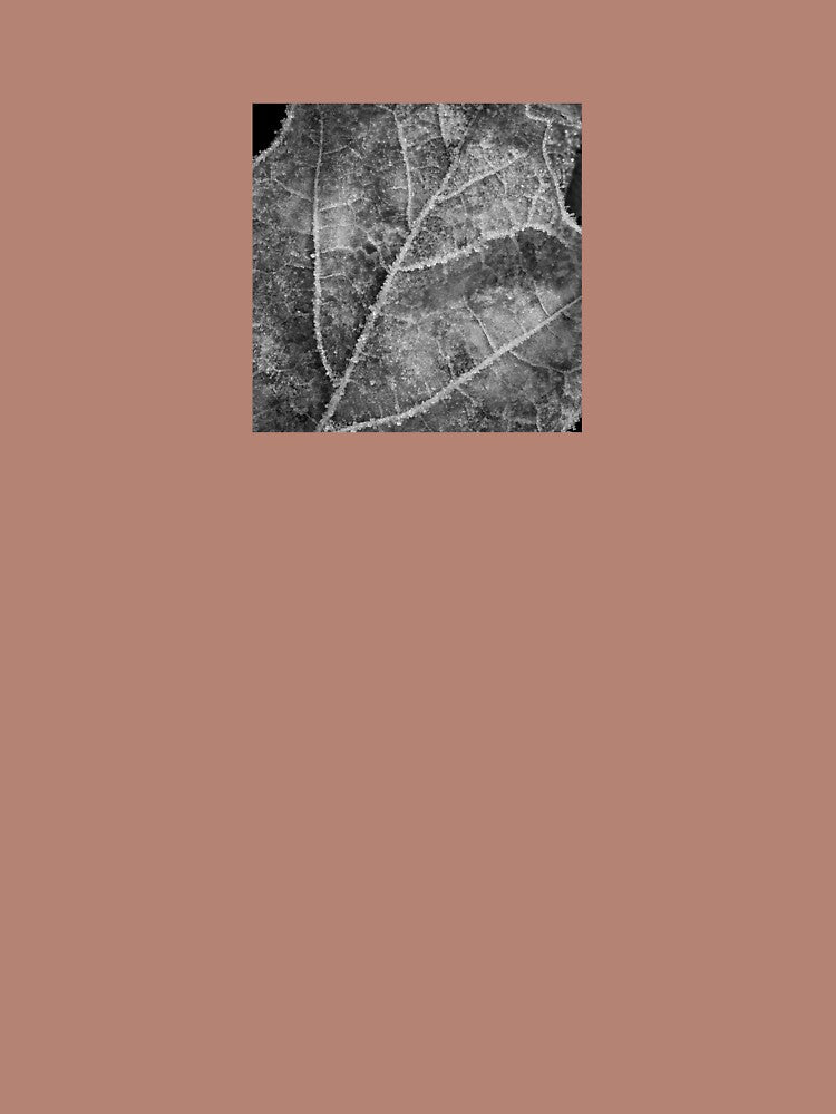 Voyage of Frosty Veins by Kathilee