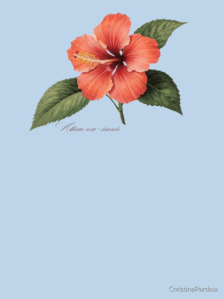 Hibiscus rosa-sinensis | Flowering Branch Botanical Illustration (No Background) by ChristinePartlow