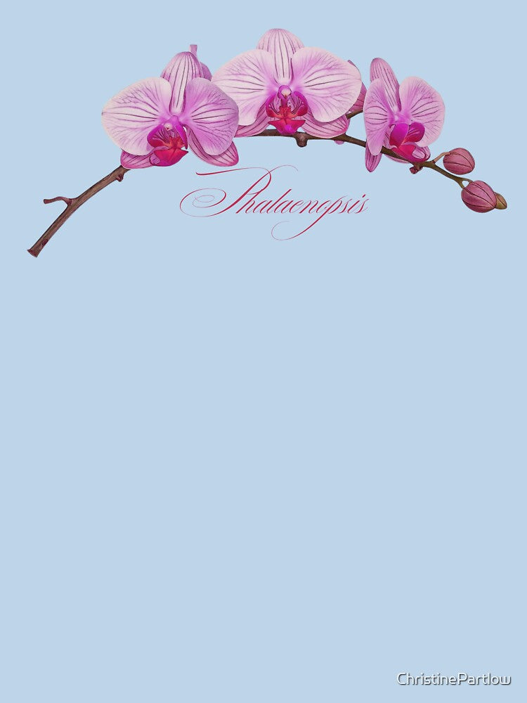 Phalaenopsis | Pink Orchid Botanical Illustration with Script (No Background) by ChristinePartlow