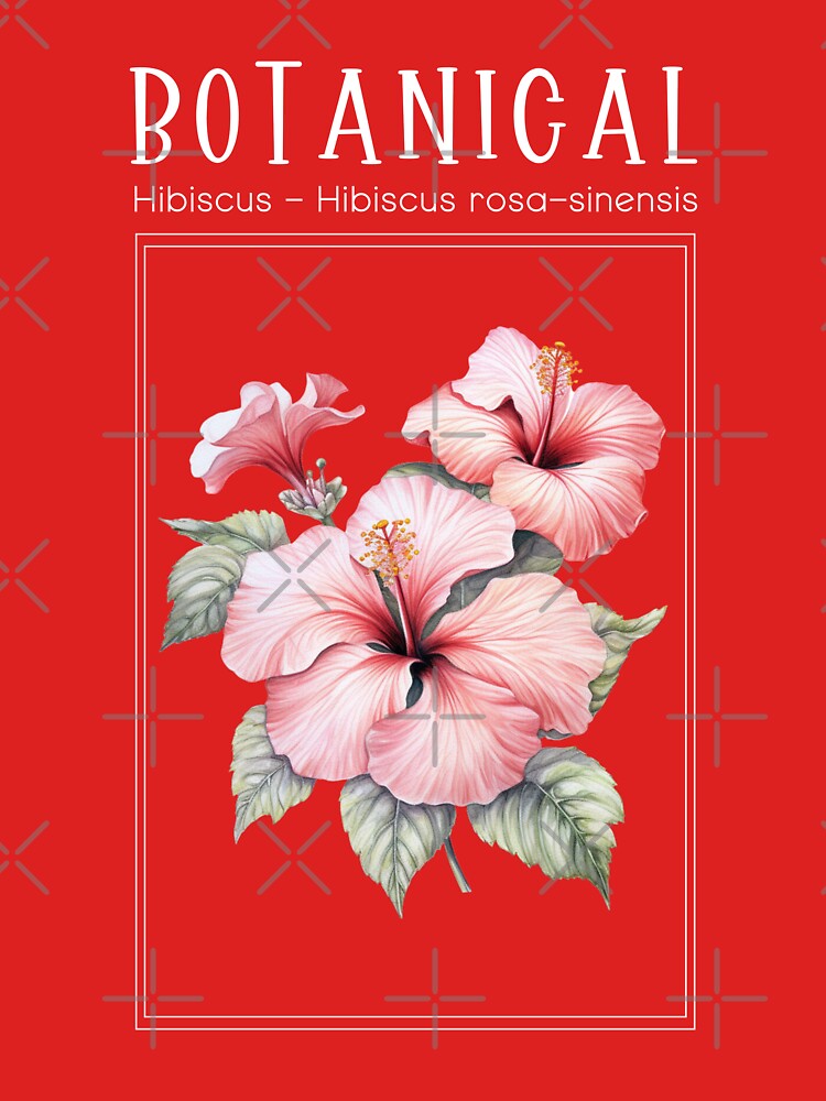 Hibiscus - Hibiscus rosa-sinensis - Botanical Collection by StudioRedKoala