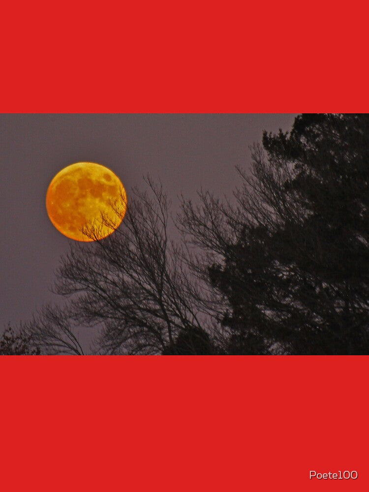 Beaver Moon by Poete100