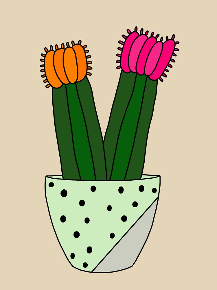 Cute Cactus Design #166: Hybrid Cacti In Painted Concrete Pot by DreamCactus