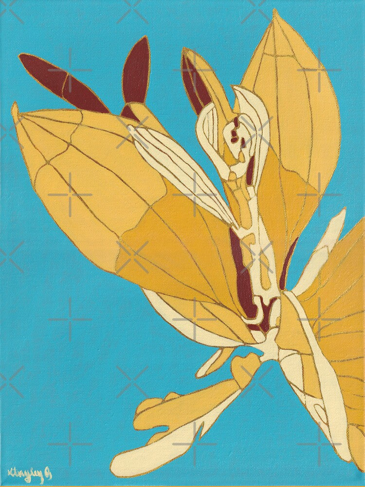 Soapbrush Wattle (Acacia holosericea) – Contemporary Botanical Painting by hayleygpaints