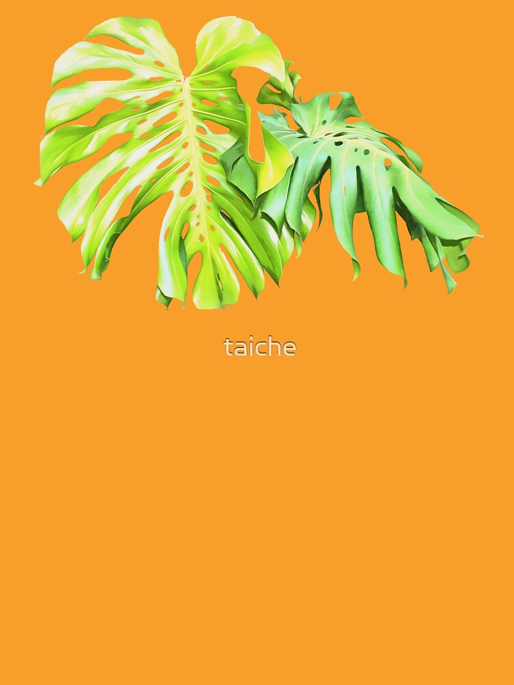 Monstera Artistic Leaf Study by taiche