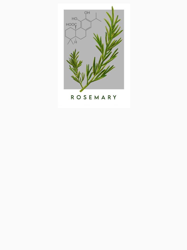 Rosemary by Andri's little shop