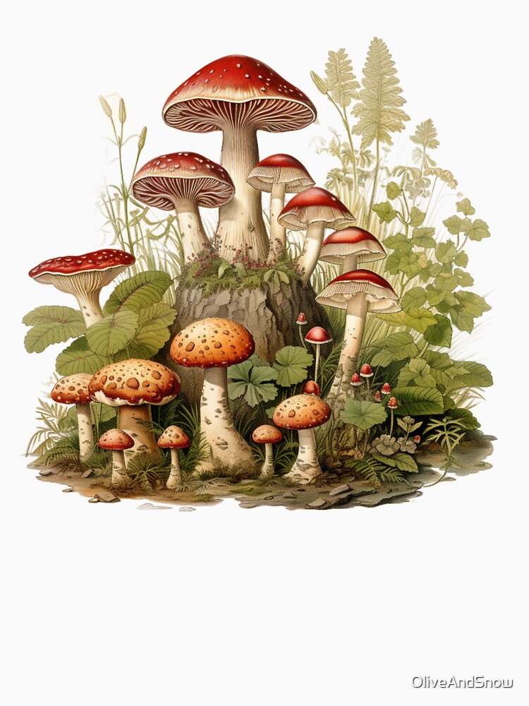 Red mushroom Amanita muscaria forestcore by OliveAndSnow