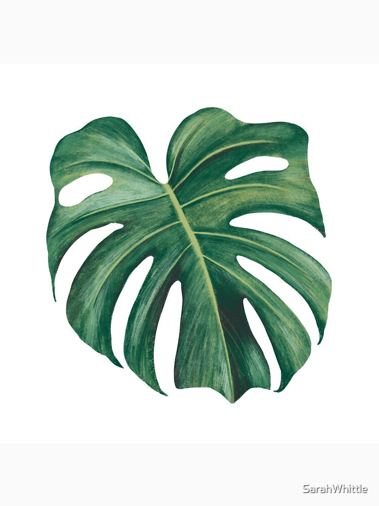 Monstera Leaf by SarahWhittle