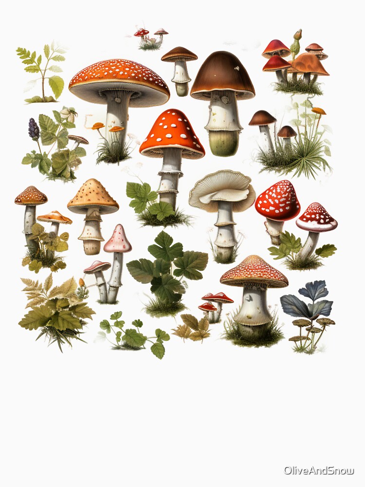 Botanical forest mushroom fungi by OliveAndSnow