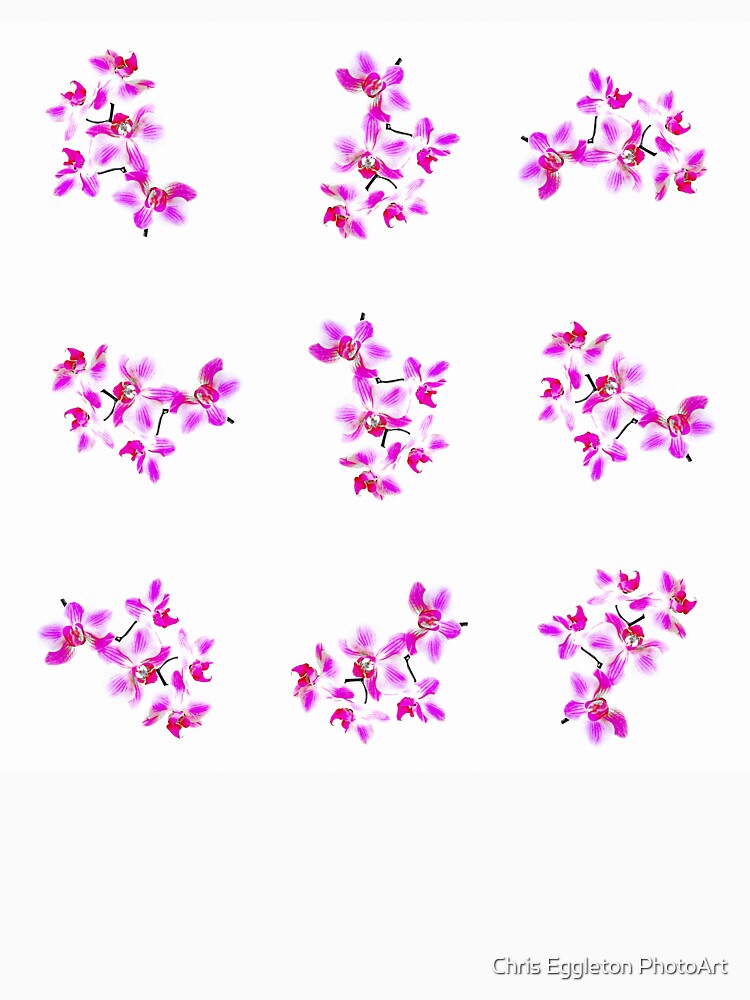Vivid Orchids Collage by Chris Eggleton PhotoArt