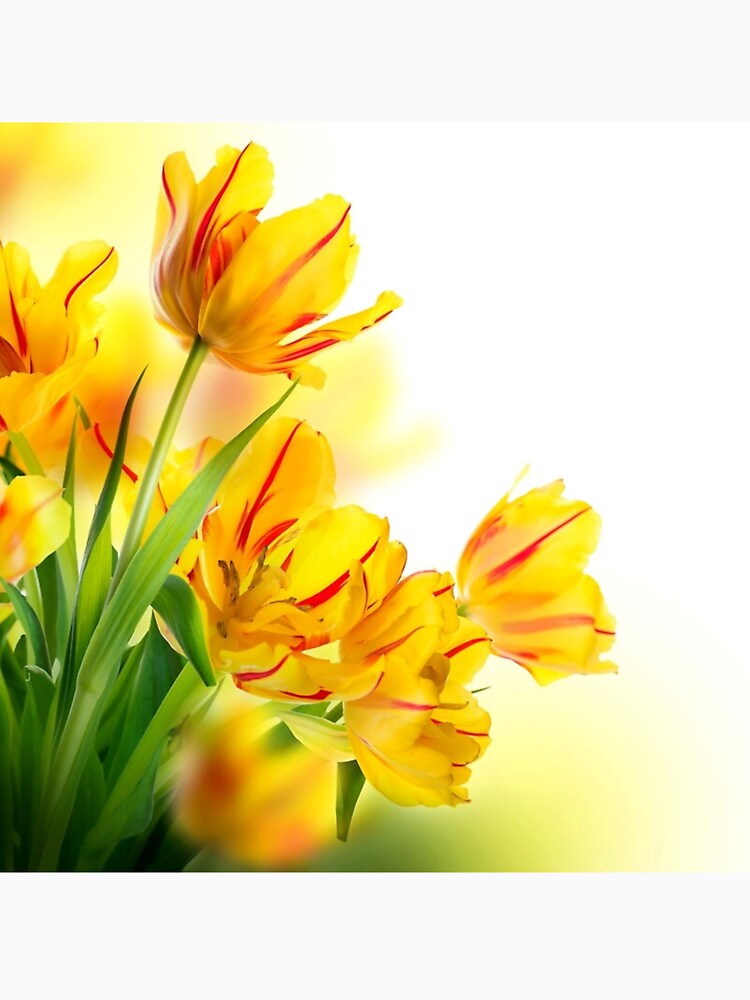 Pretty Yellow Floral Merchandise by cindyfordyce