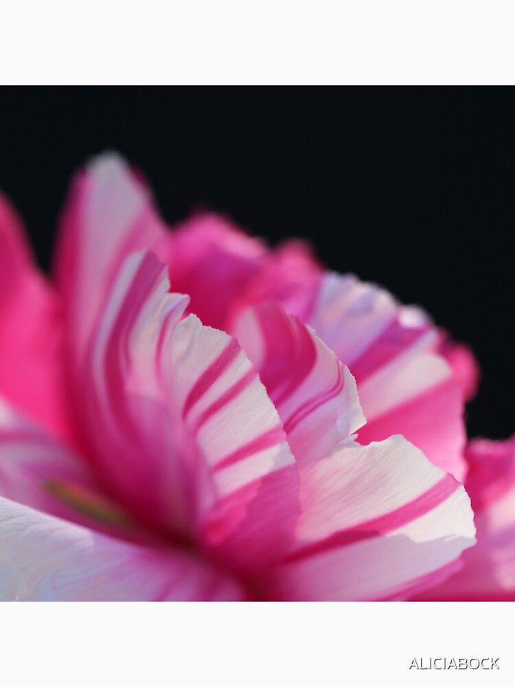 Spring Stripes #3 by ALICIA BOCK