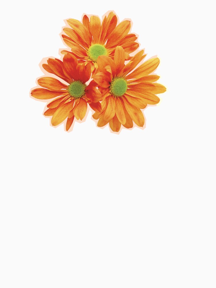 Orange flowers by BraveNewDesigns