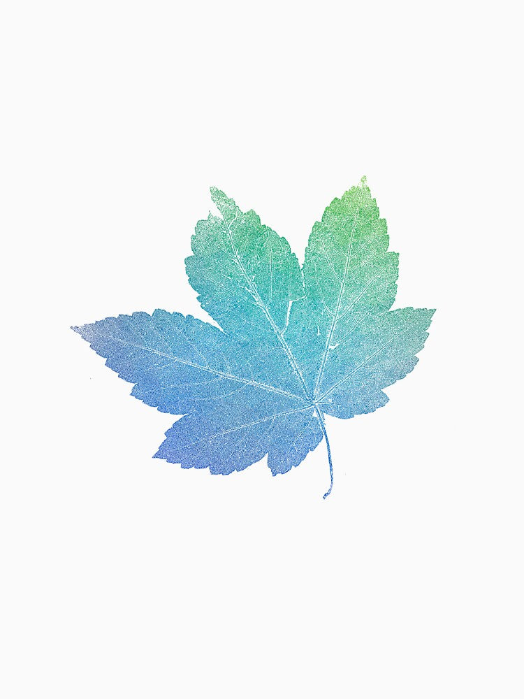 colorfull skeleton Leaf blue by imfine