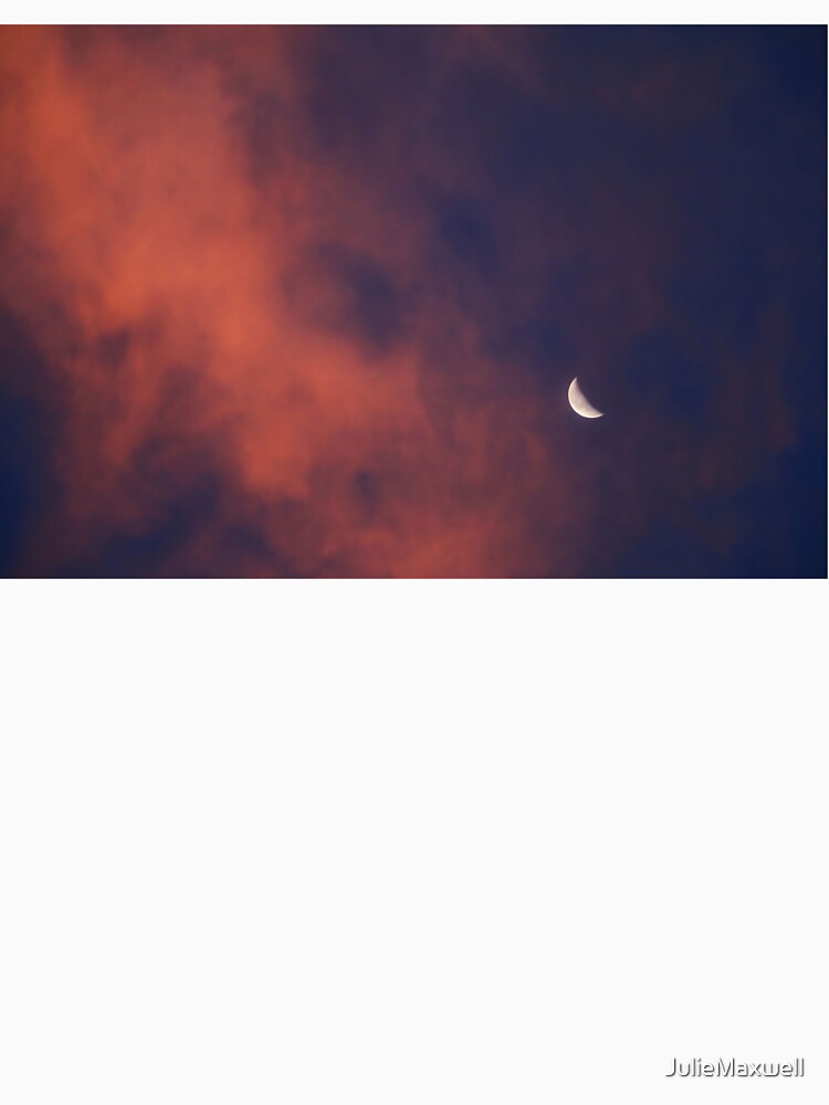 Hide and Go Find Moon by JulieMaxwell