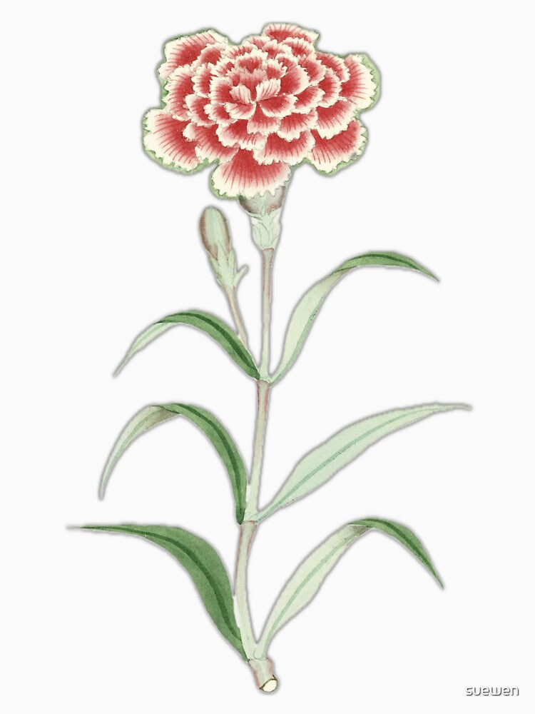 Carnation, hand drawn by Nadeshiko – May 1870–1880 by suewen